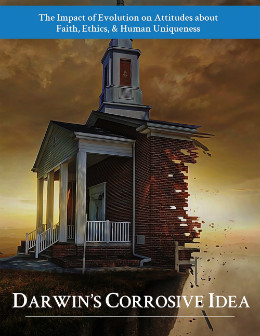 Cover of the report on The Impact of Evolution